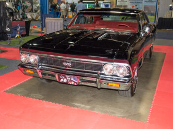 Photo Gallery Image